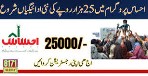 8171 Ehsaas Program 25000 Cnic Check Online احساس پروگرام ...